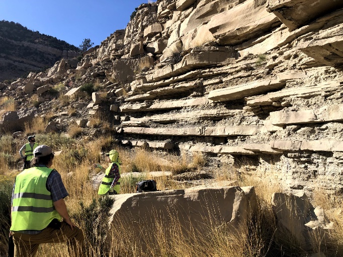 Above: 2019 Sloss Awardee and former SGD Chair Margie Chan discussing the pro-delta deposits of the Panther Tongue Sandstone near Helper, UT with a group of StraboStrat beta testers. Hopefully, field outings like this can be back on our calendars soon!